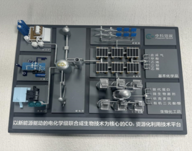 CO2项目模型.png