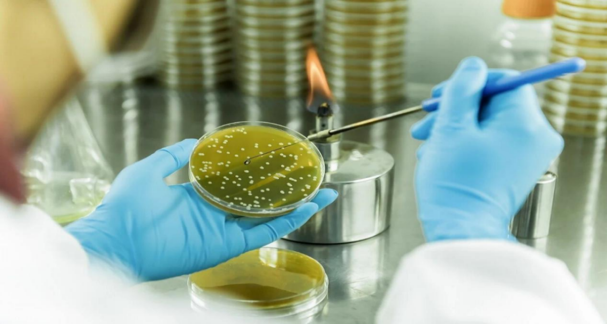 生物基聚酰胺项目入选国资委 “百大工程”